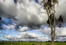 B费本赛季已直接参与29球,自2020/21赛季以来最多.