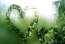 沪媒:B名单制度助推年轻球员踢中超,职业联赛数据有利于留洋.