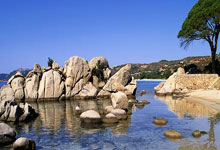 2025CBA全明星周末全阵容名单公布2025-02-22.